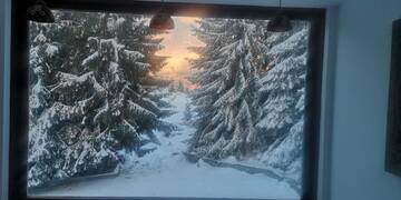Фото номера Дом для отпуска Гостевой дом Carpe Diem г. Фундата 31