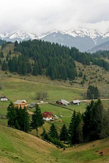 Фото номера Вилла Лоджи Cabana Mariuca Fundata г. Фундата 10